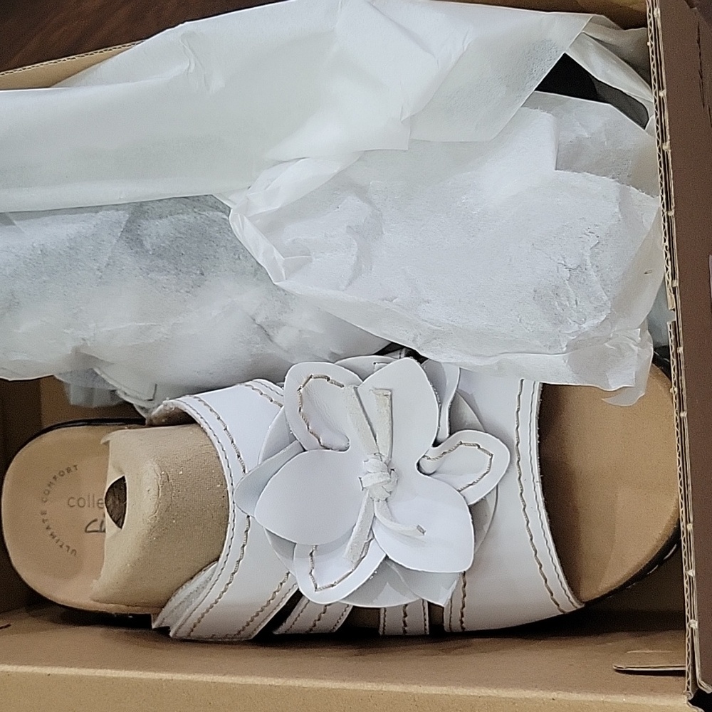 Collection by Clark- size 8